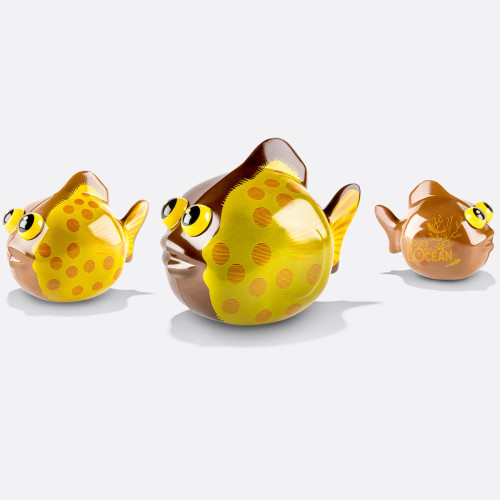 LE POISSON CHOCOLAT NOIR