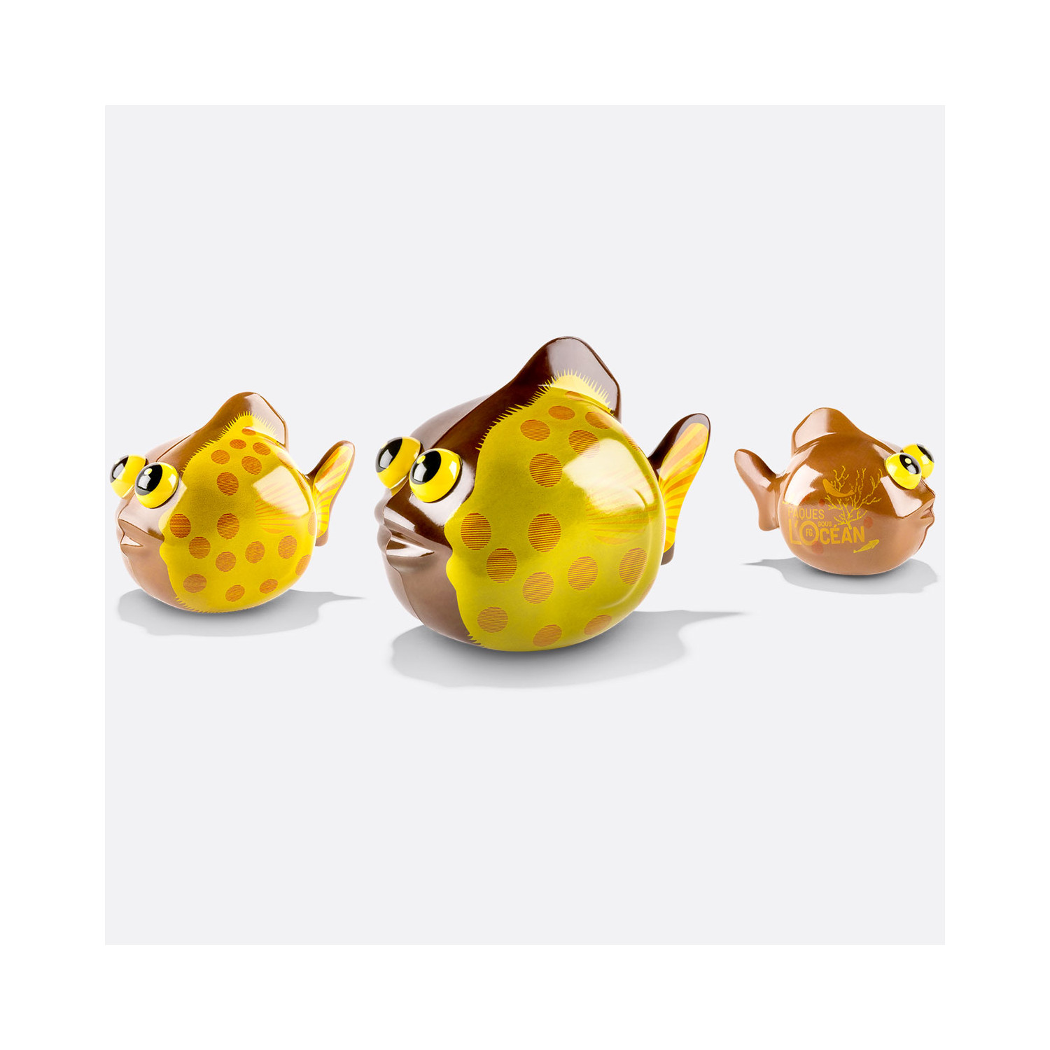 LE POISSON CHOCOLAT NOIR