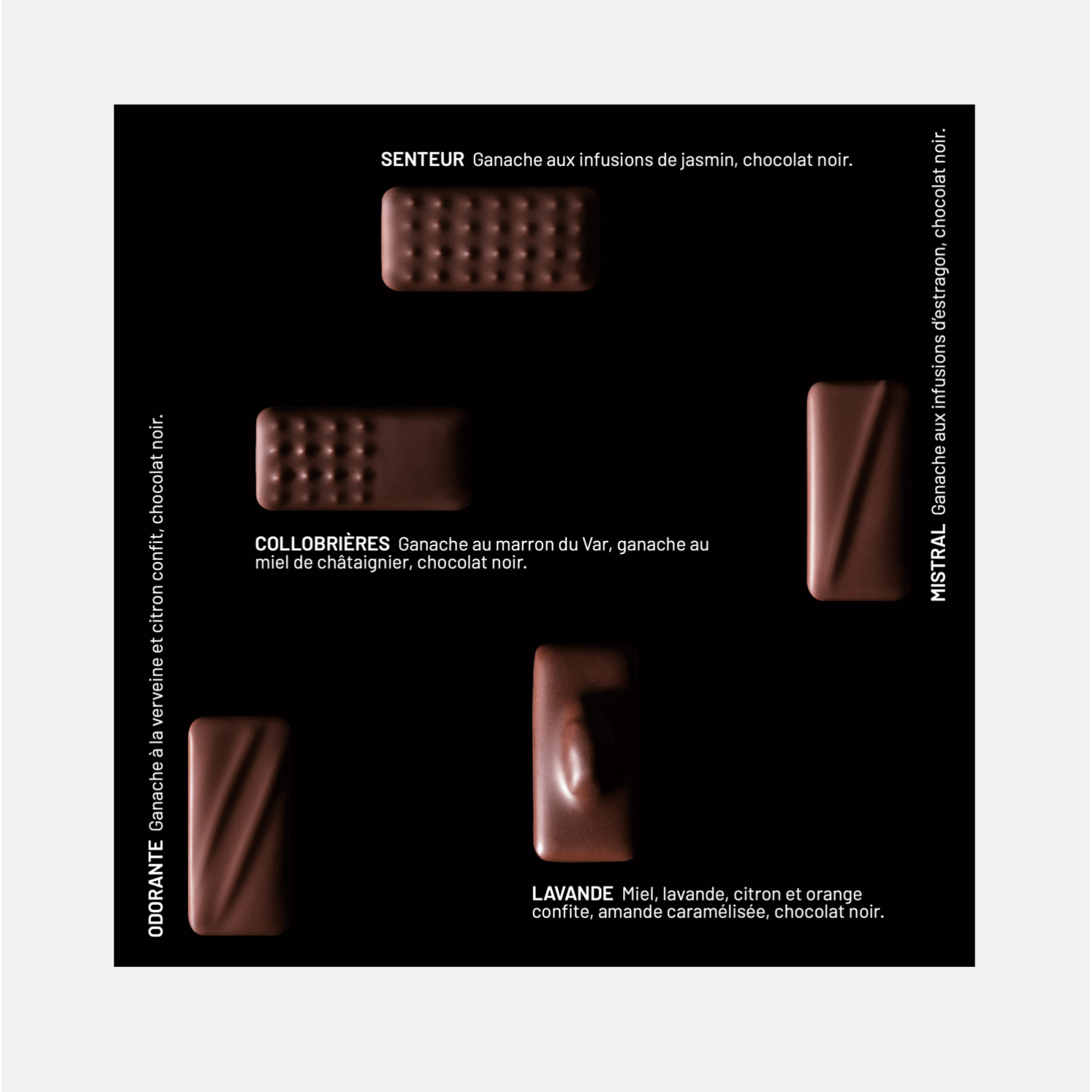 LE COFFRET BLEU.