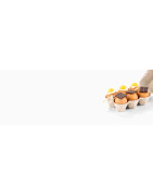Chocolats de Pâques Originaux ¤ Vente en Ligne | FG